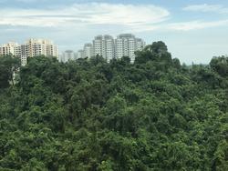 Blk 112B Depot Road (Bukit Merah), HDB 5 Rooms #148429862